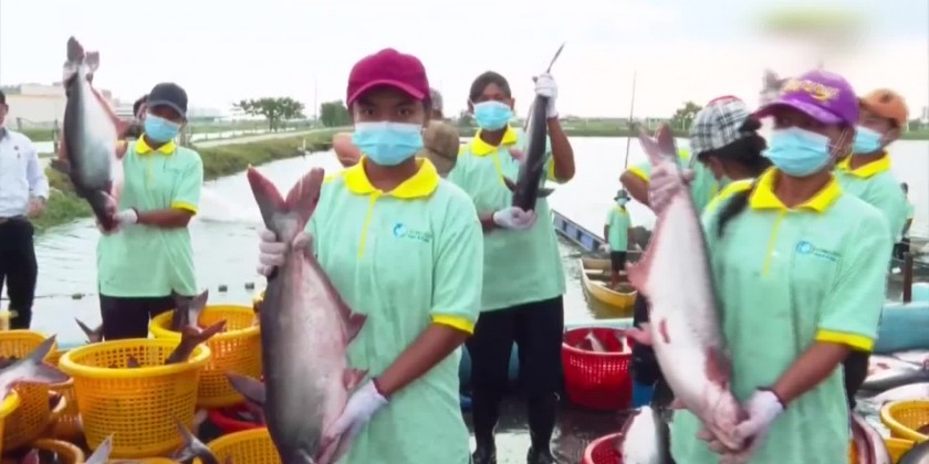 Value Added Fish Product Aiming At An Increase Of Fisheries Sector